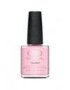 Vernis Shellac
